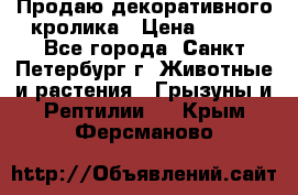 Продаю декоративного кролика › Цена ­ 500 - Все города, Санкт-Петербург г. Животные и растения » Грызуны и Рептилии   . Крым,Ферсманово